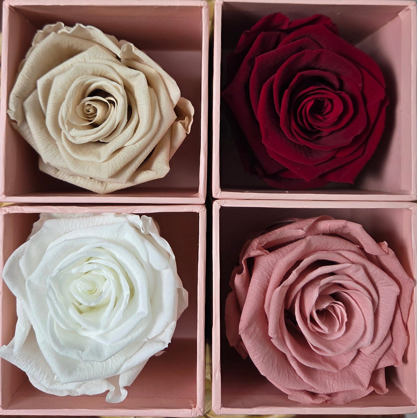 Petite Rose Box