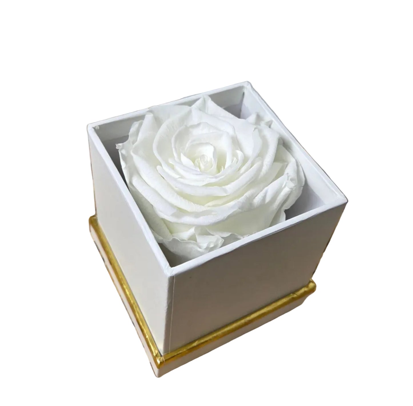 Petite Rose Box