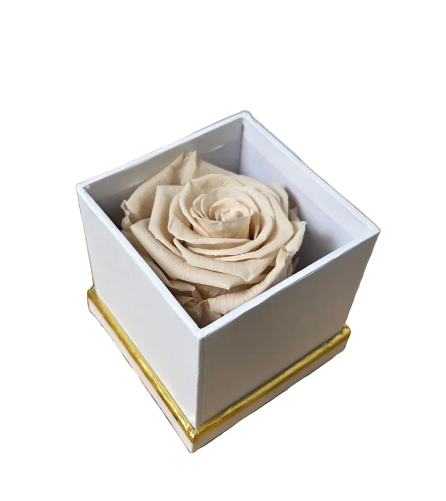 Petite Rose Box