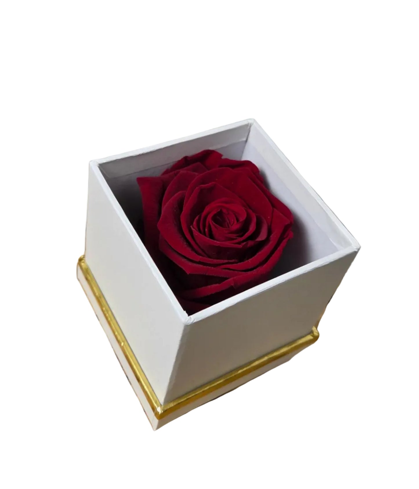 Petite Rose Box
